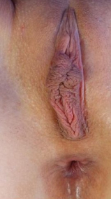 Pussy