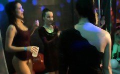 Horny Honeys Are Sharing Their Fuck Holes During Orgy