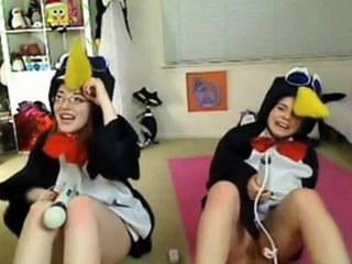 Teen penguins on cam