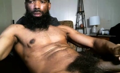 Big Black Gay Studs Eat Cock And Plow The Ass