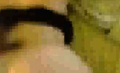 Hot wife gets penetrated in the bathroom xo