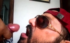 Rio de Janeiro Bull Sucking the Machos Off