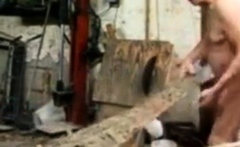 Silver Fox Strokes Wood at the Sawmill