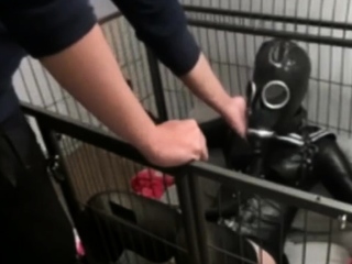 Caged Asian breath playing