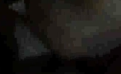 Cheating wife bitch bangs with her husbands young son bb