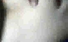 Hidden Cam porn video – Beautiful bride fucks stranger while cuckolding hubby bb