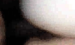 Cuckold Squirting Wives Fuck Bulls BAREBACK nn